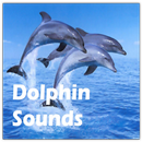 APK Dolphin Sounds