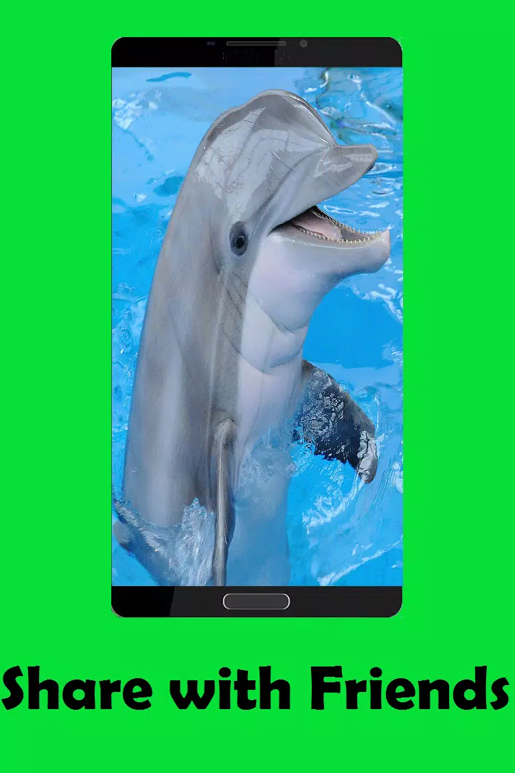 Dolphin Sounds APK for Android Download