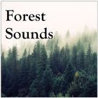 Forest Sounds ícone