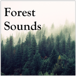”Forest Sounds