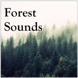 Forest Sounds ไอคอน