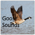 آیکون‌ Goose Sounds