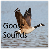 Goose Sounds icône