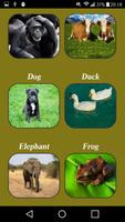 Baby Animal Sounds 截图 1