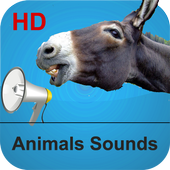 Animals Calls and Sounds  icon