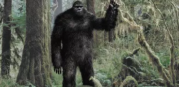 Bigfoot Sounds