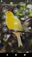 Canary sons d'oiseaux capture d'écran 1