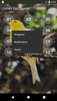 Canary Bird sounds screenshot 2