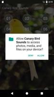 Canary Bird sounds screenshot 3