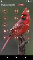 Sons d'oiseaux Cardinal capture d'écran 1