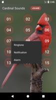 Sons d'oiseaux Cardinal capture d'écran 2