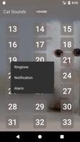 Cat Bunyi dan Ringtone screenshot 2