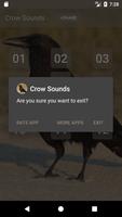 Crow Bird Sounds screenshot 2