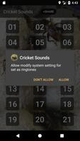 Cricket Sounds screenshot 2