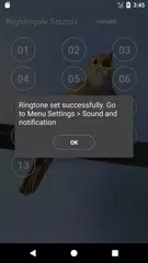 Baixar Nightingale Bird Sounds XAPK