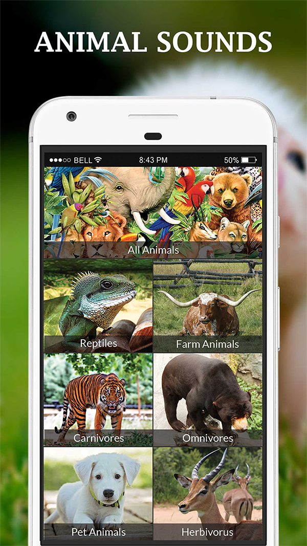 Animal Sound APK for Android – Download Animal Sound APK Latest Version from Animal Sound APK for Android – Download Animal Sound APK Latest Version from