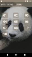 Panda Suara poster