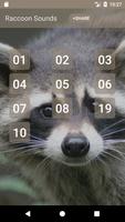 Raccoon Sounds Affiche