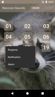Raccoon Sounds capture d'écran 1