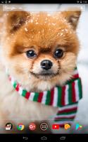 Cute winter dogs plakat