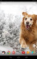 Cute winter dogs capture d'écran 1