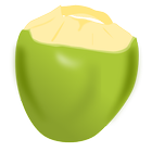 Coconut-icoon