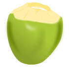 Coconut icon