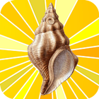 Conch icon