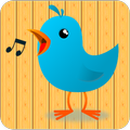 Whistle Bird