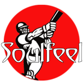 Soulfeel icon