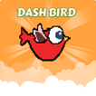 ”Dash Bird PangPang