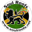 Soul Roots Web Rádio APK