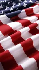 American Flag Wallpapers アプリダウンロード