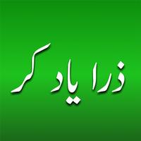 Zara yaad kar Novel Urdu! ポスター