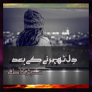 Dil Thehrny kay bad APK