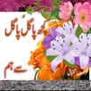 Kuch Pagal Pagal sy hm Novel APK