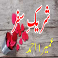 Shareek e Safar