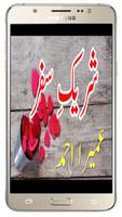 Shareek e Safar poster