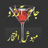 Jaam e Arzoo Novel أيقونة