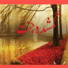 Gumshuda Jannat Novel Urdu! アイコン