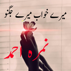 Mere khoaab mera jugno أيقونة