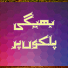 Bheegi Palkon Per Urdu! icône