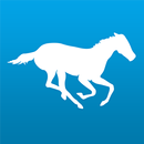 SWdealers Tablet APK