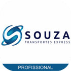 Icona Souza Express - Profissional