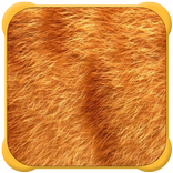 Fur Backgrounds