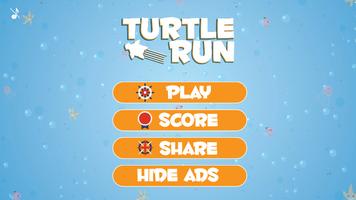 Turtle Run постер