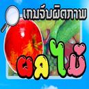 APK เกมส์จับผิดภาพผลไม้