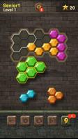 Hexa Block Quest تصوير الشاشة 2