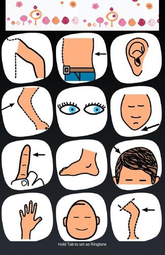 Spanish Body Parts Vocabulary APK for Android Download