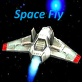 Space Fly